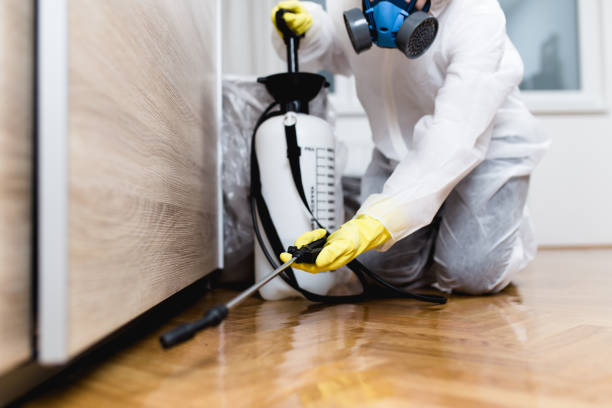 Best Mosquito Control Services  in Greenwood, LA