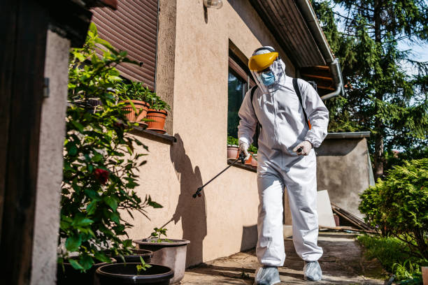 Best Local Pest Control Services  in Greenwood, LA