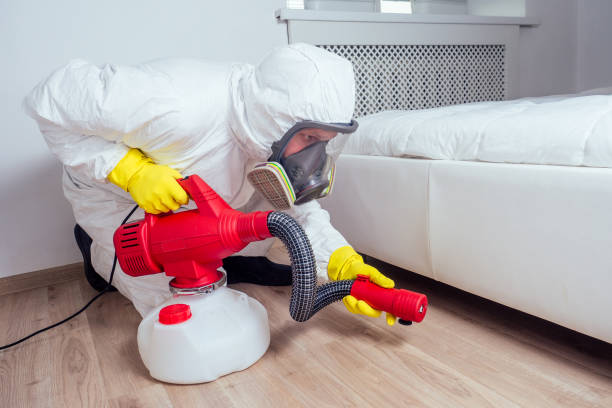 Best Flea Control Services  in Greenwood, LA