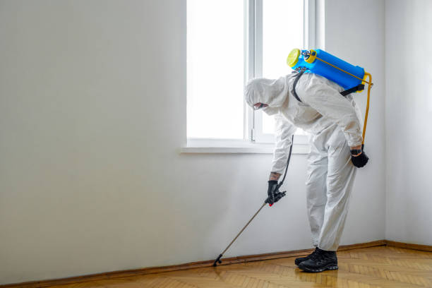 Best Local Pest Control Services  in Greenwood, LA