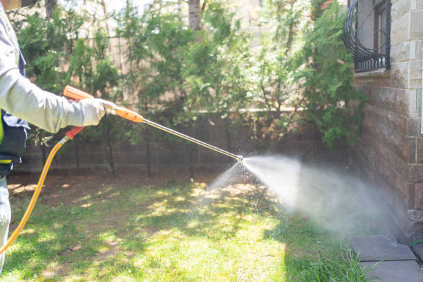 Best Termite Control Services  in Greenwood, LA