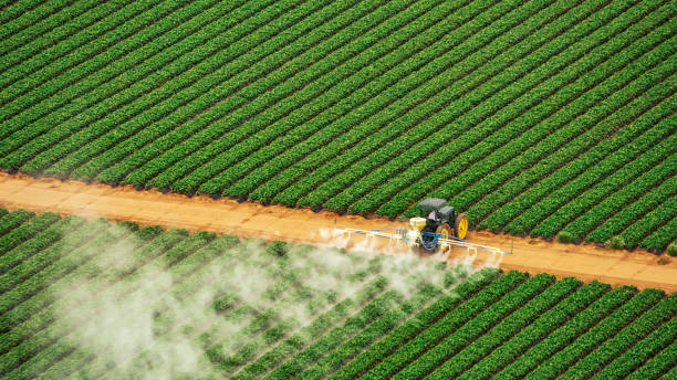 Best Pest Inspection Near Me  in Greenwood, LA