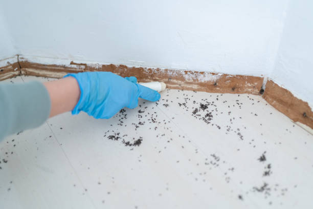 Best Best Pest Control Companies  in Greenwood, LA