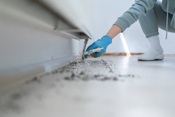 Best Commercial Pest Control Services  in Greenwood, LA