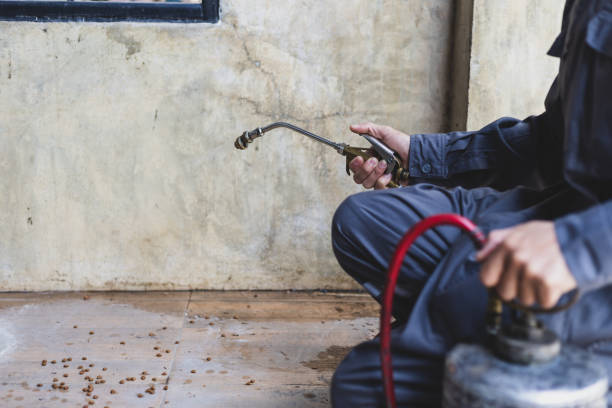 Best Rat Extermination Near Me  in Greenwood, LA